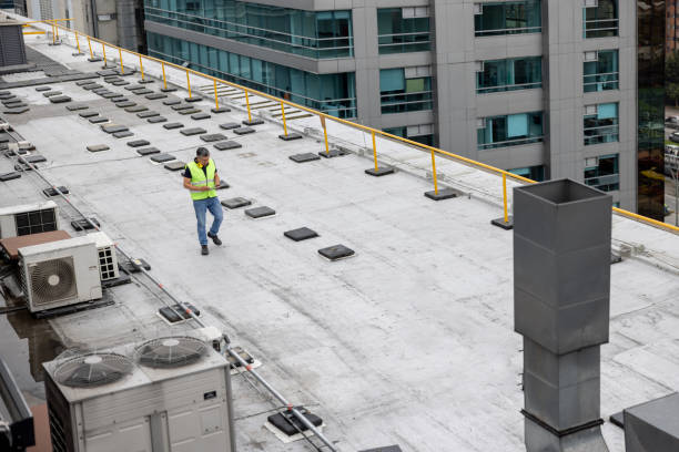 Best Roof Insulation Installation  in Sophia, WV